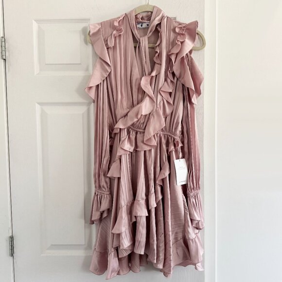 NWT Off-White by Virgil Abloh Ruffled Dress in Pink, size 40IT (fits size small) - Picture 4 of 15